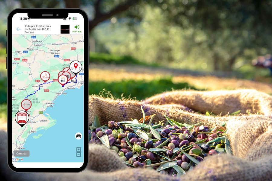 App de gastronomia per comprar oli d’oliva verge extra de proximitat