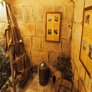 Oleoturisme: Museu de l'Oli Solé (museu + molí + tast)