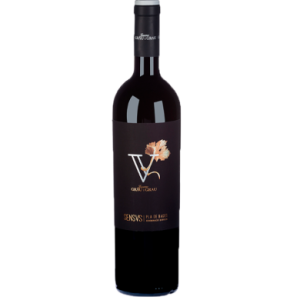 Sensus Criança Grau i Grau