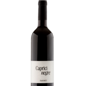 Caprici Negre Cooperatiu d'Artés (Artium)