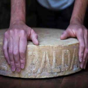 Formatge de vaca El Baldat Baldal