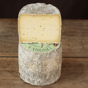 Formatge Canonge vaca L'abadessa