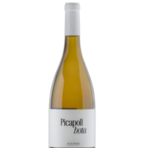 Picapoll Bota Cooperatiu d'Artés (Artium)