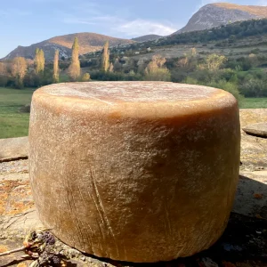 Formatge Flor de Llet ovella Corroncui