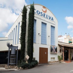 Oleoturisme: Visita a l'Espai Museístic de l'Oli