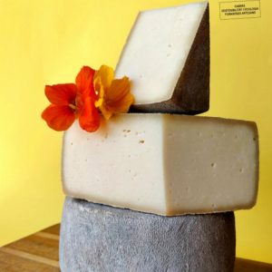 Formatge Ressò de cabra Lluert Pasturabosc