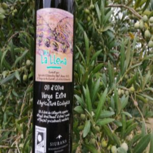 Oleoturisme: Experiència d'oli i vi a Ulldemolins