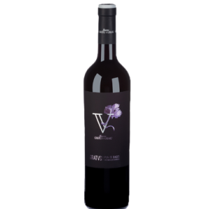 Gratus Criança Grau i Grau