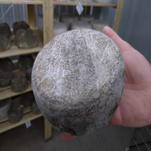 Formatge Collsacabra Riudavets