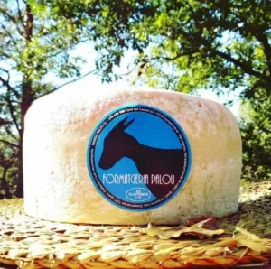 Formatge Semi d'Ovella Palou