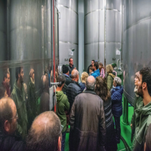 Oleoturisme: Visita guiada al molí tradicional