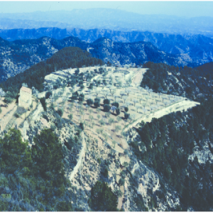 Oleoturisme: Els sentits del paisatge