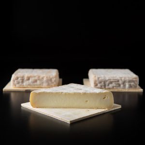 Formatge d'Ovella Tou del Mujal de Cal Músic