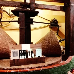 Oleoturisme: Visita al molí d'oli