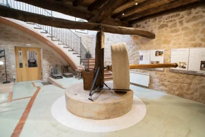 Oleoturisme: Visita al molí + taller