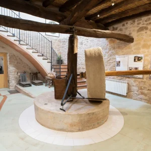 Oleoturisme: Visita al molí + taller