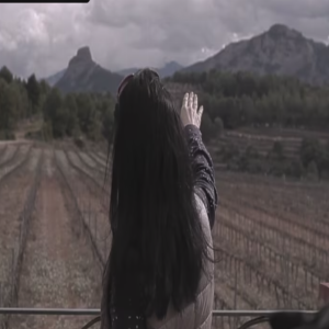 Oleoturisme: Descobreix un oli verge extra únic: Massís del Port 1898