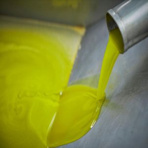 Oleoturisme: Vine a tastar l'oli del Raig a Ulldemolins