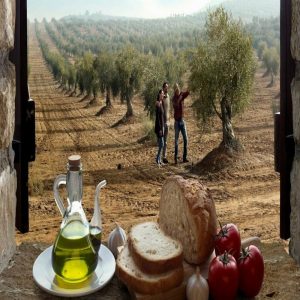 Oleoturisme: Itinerari de tast vi oli i cuina a Montsant