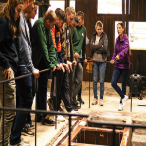 Oleoturisme: Al ritme de l'olivera i la vinya