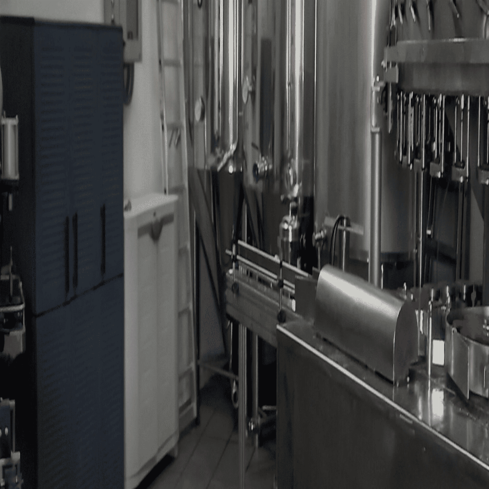 Visita guiada a la microcerveseria Cerveses Ponent amb tast