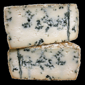 Formatge de cabra Blau de l'Avi Ton de Camps