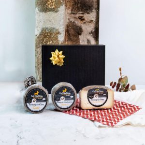 Formatge Lot World Cheese Awards 2025 Cal Quitèria